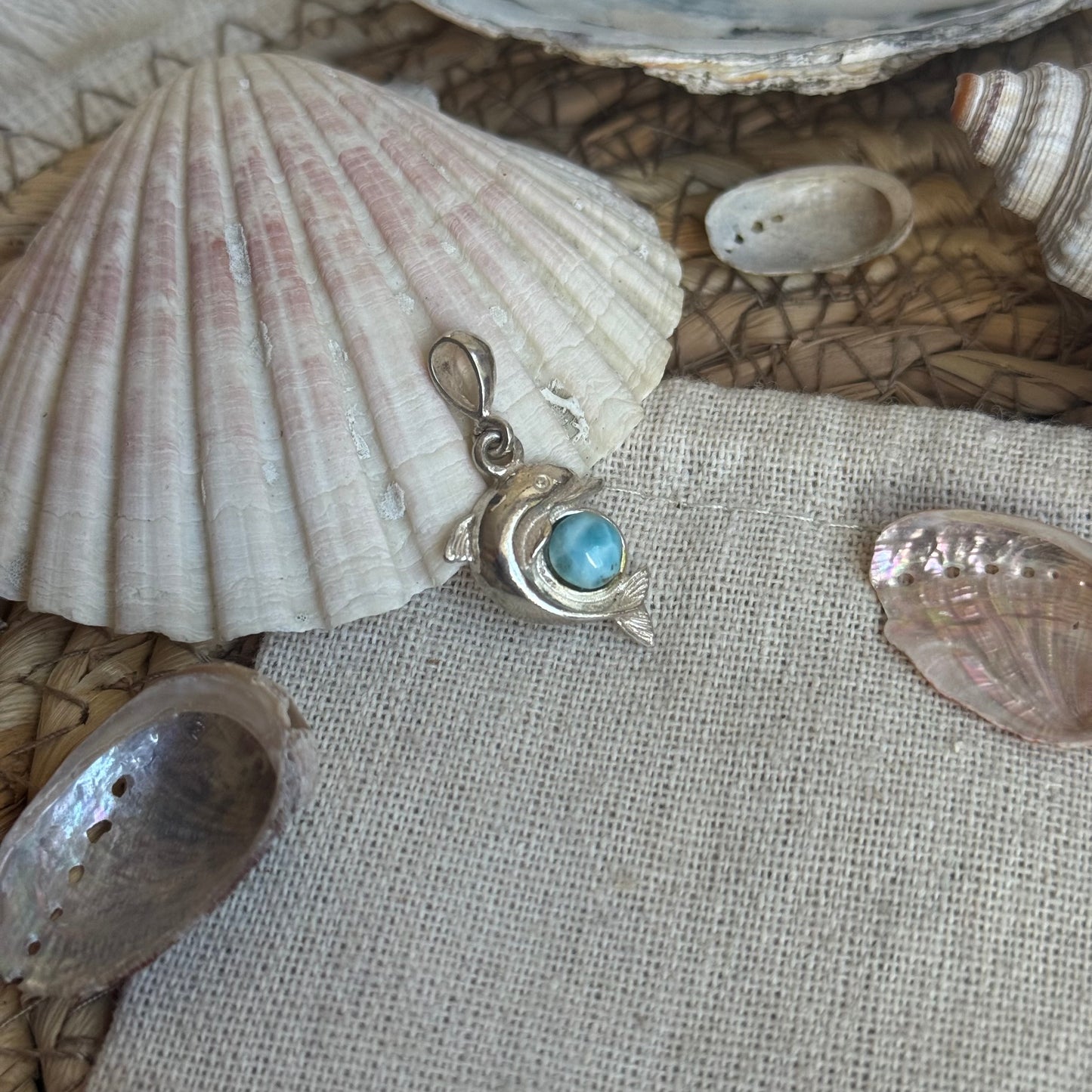 Larimar Delfin Anhänger 925 silber ~ HW50