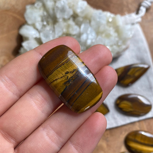 Tigerauge Cabochon ~ TA