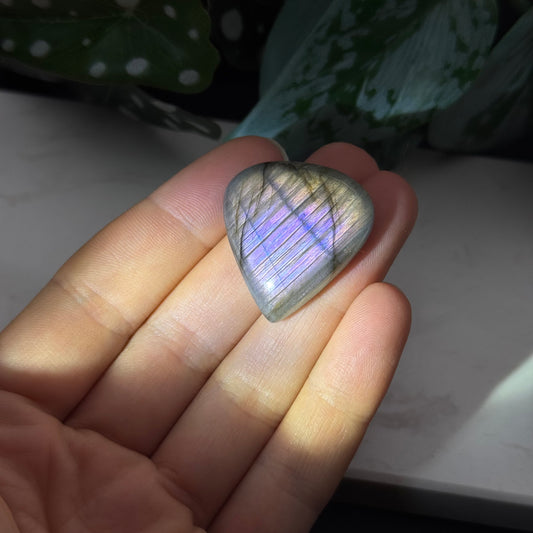 Labradorit Cabochon ~ 19H