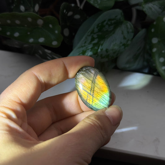 Labradorit Cabochon ~ 19L