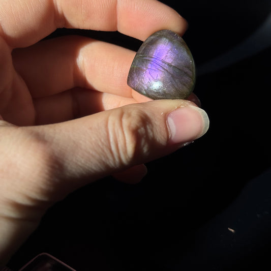 Lila Labradorit Cabochon ~ 14ZC