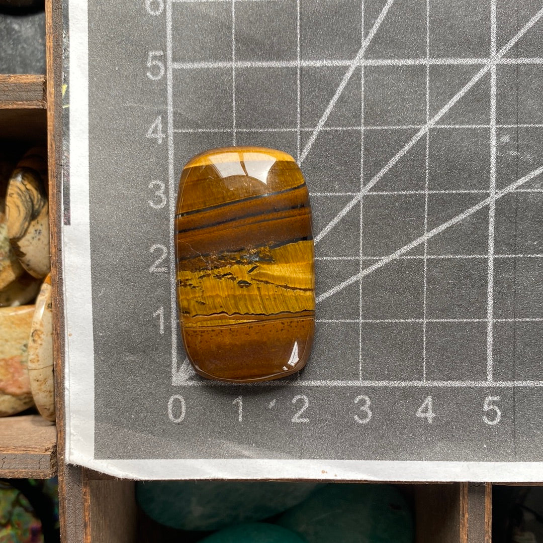 Tigerauge Cabochon ~ TA