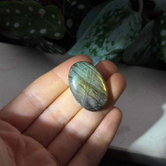 Labradorit Cabochon ~ 19L