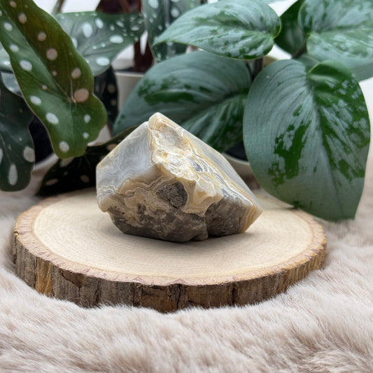 Lace Achat Freiform ~ 11B