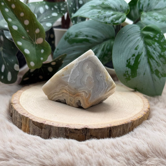 Lace Achat Freiform ~ 11B