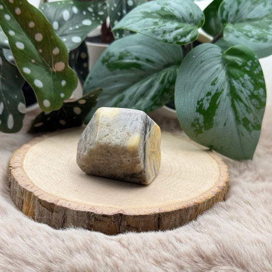 Lace Achat Freiform ~ U7