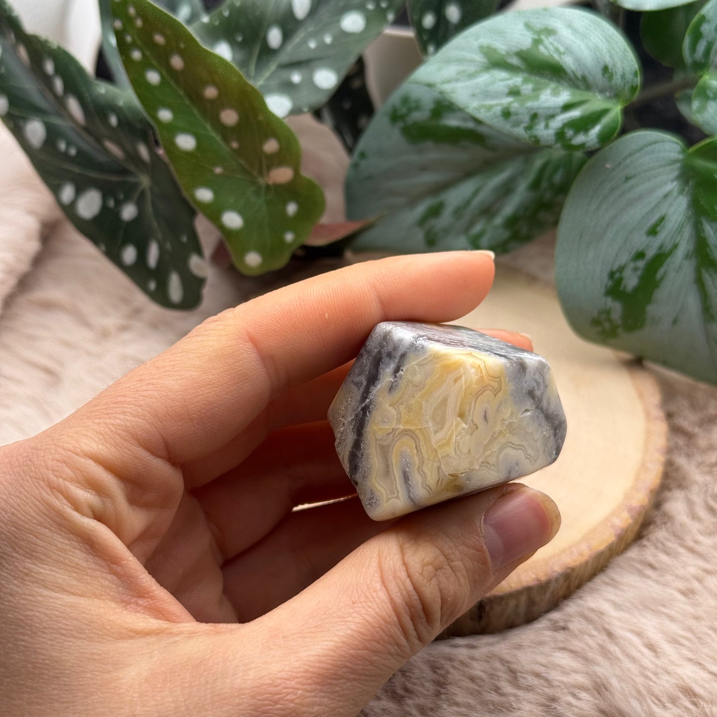 Lace Achat Freiform ~ U7