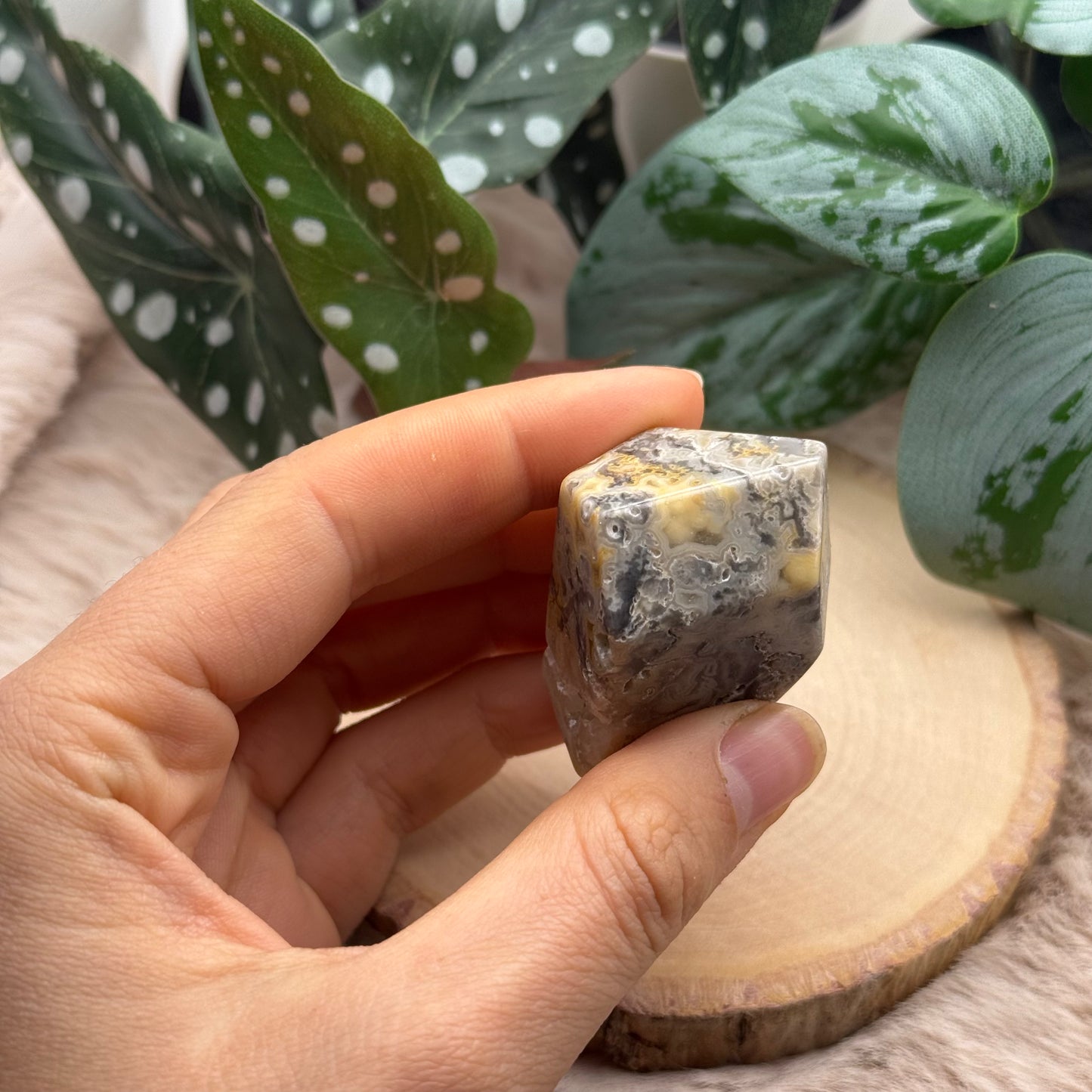 Lace Achat Freiform ~ D6