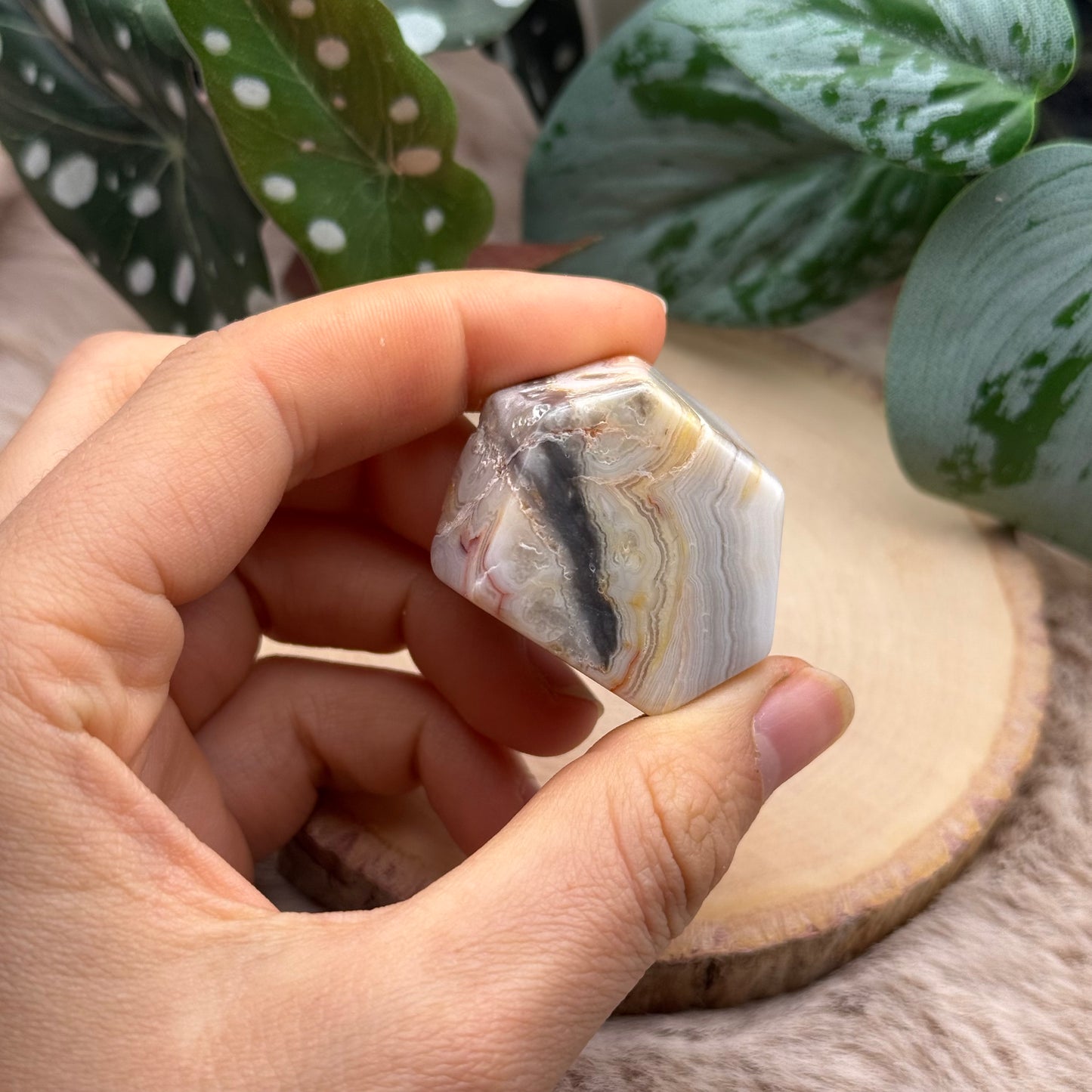 Lace Achat Freiform ~ A9