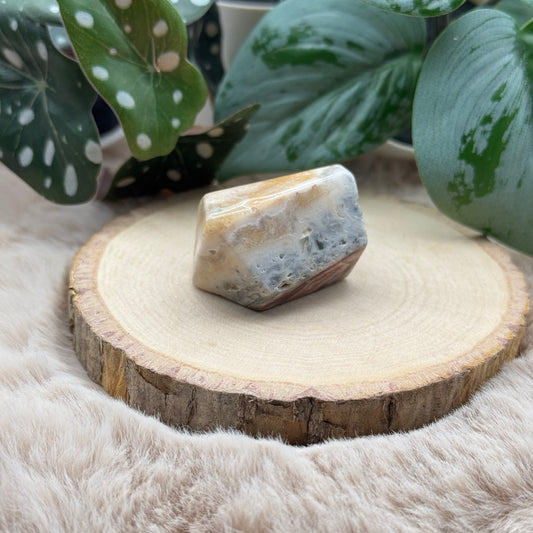 Lace Achat Freiform ~ 7X