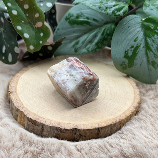 Lace Achat Freiform ~ 7X