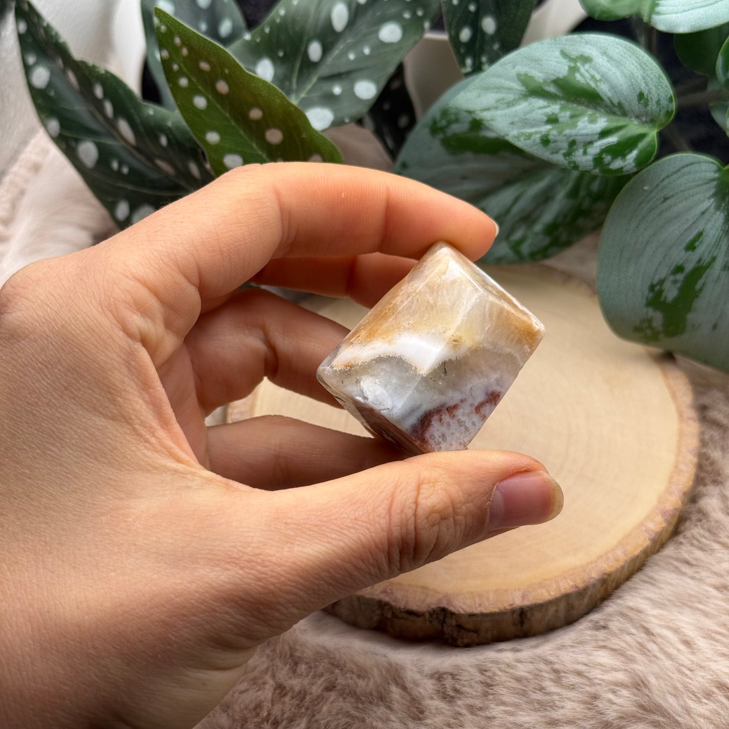 Lace Achat Freiform ~ 7X