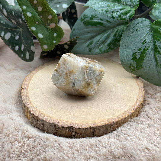 Lace Achat Freiform ~ S6