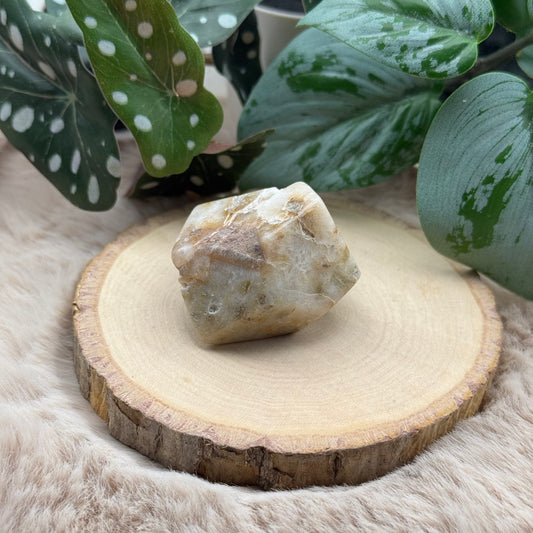 Lace Achat Freiform ~ S6