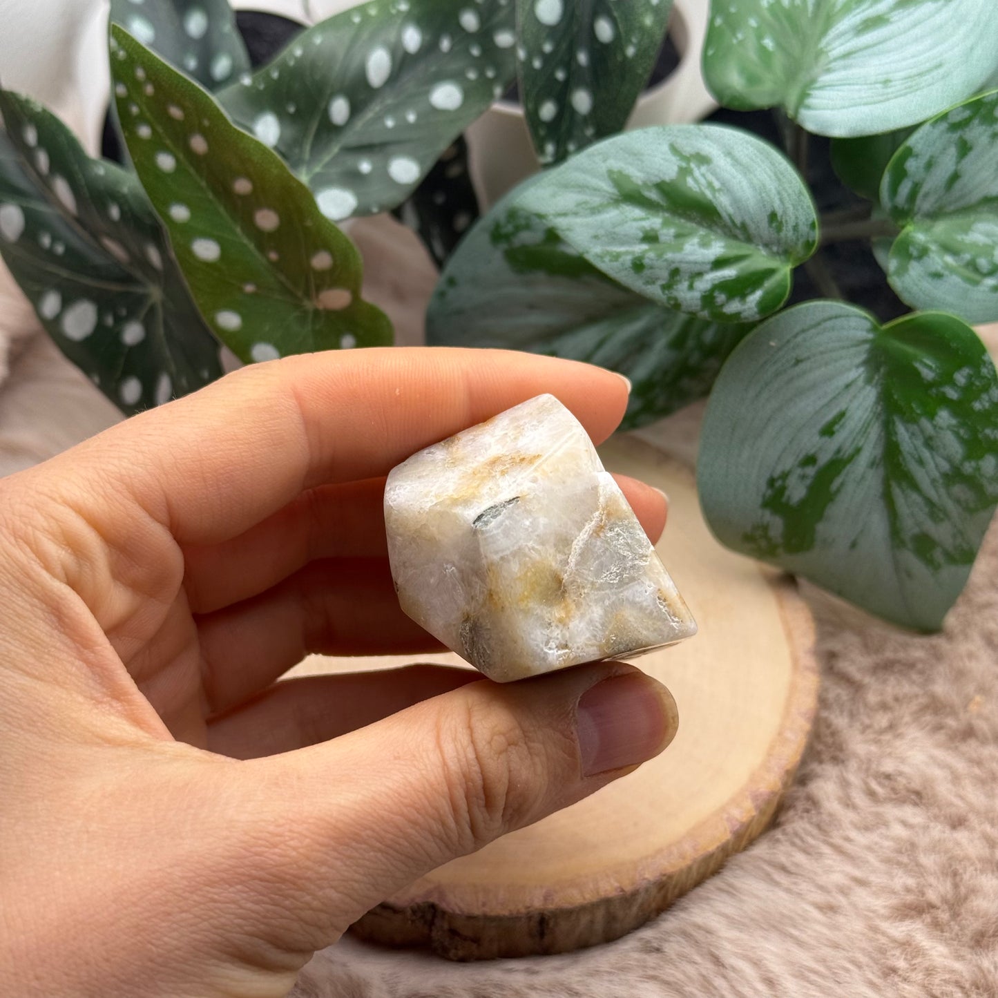 Lace Achat Freiform ~ S6