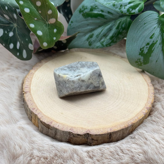 Lace Achat Freiform ~ W6