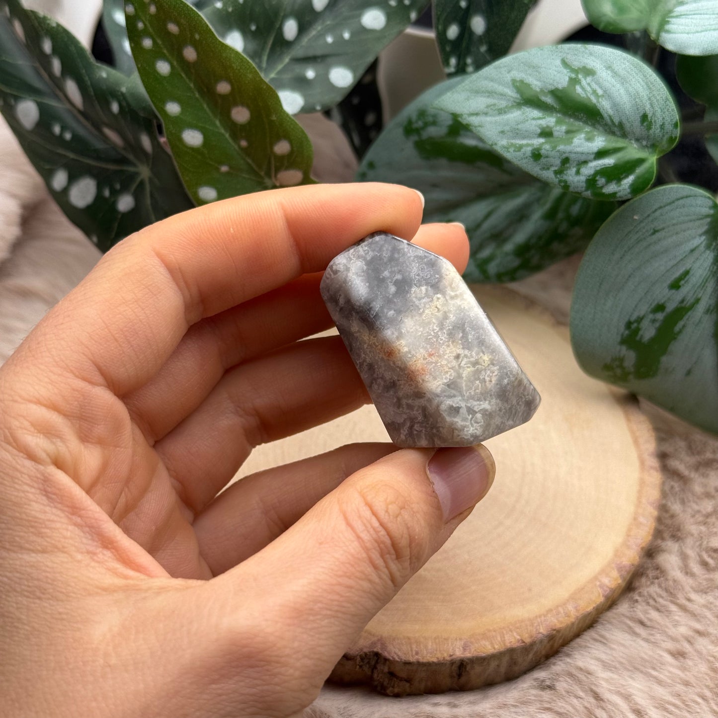 Lace Achat Freiform ~ W6