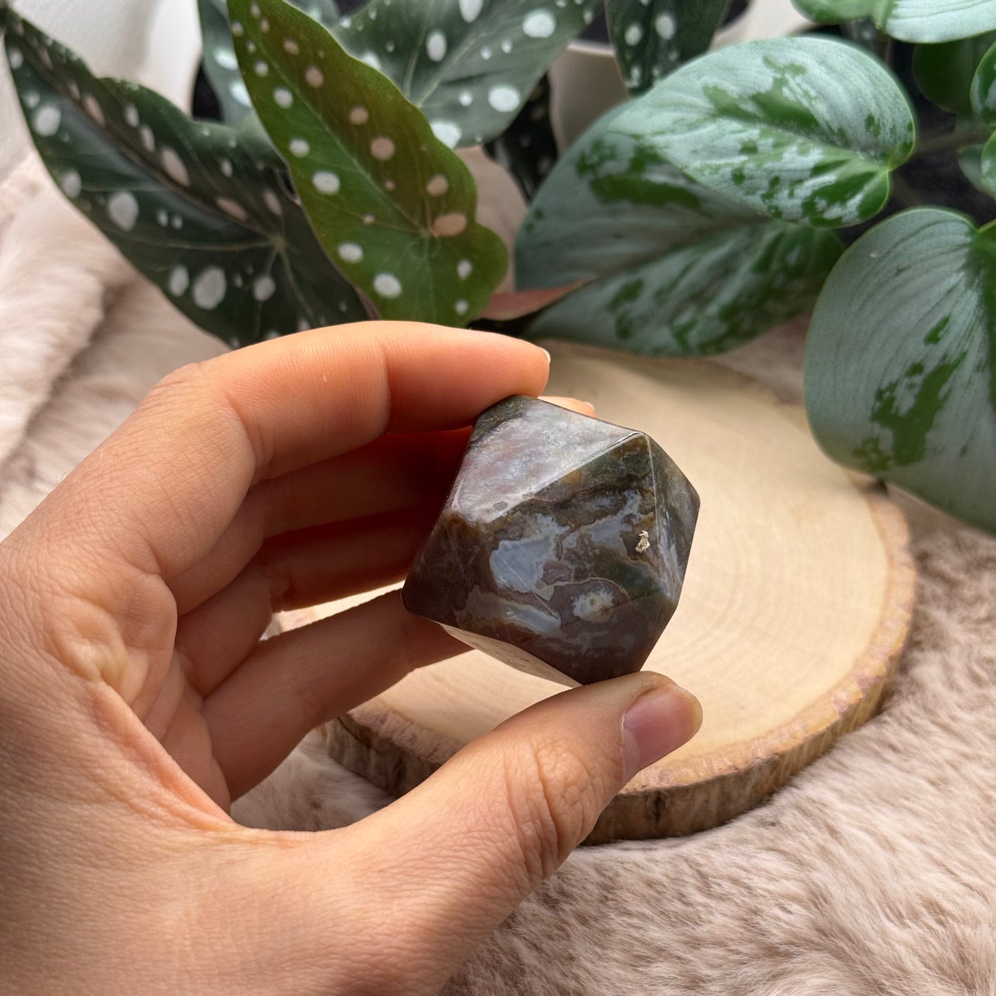 Achat Freiform ~ A8A