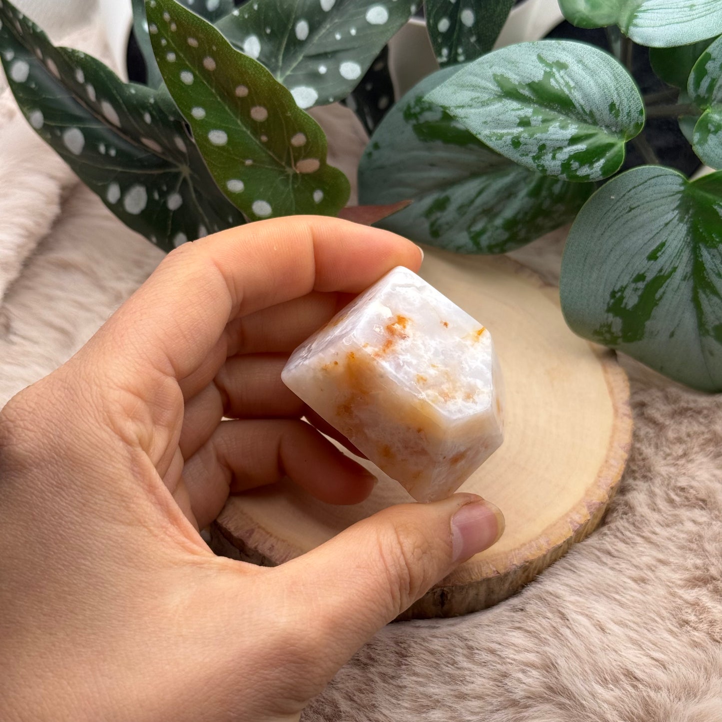 Achat Freiform ~ 15X