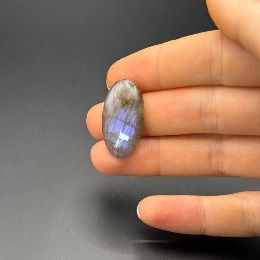 Lila Labradorit Cabochon ~ 10U