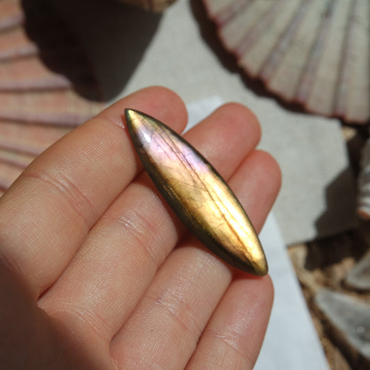 Labradorit Cabochon ~ 12ZR