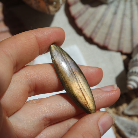 Labradorit Cabochon ~ 12ZR