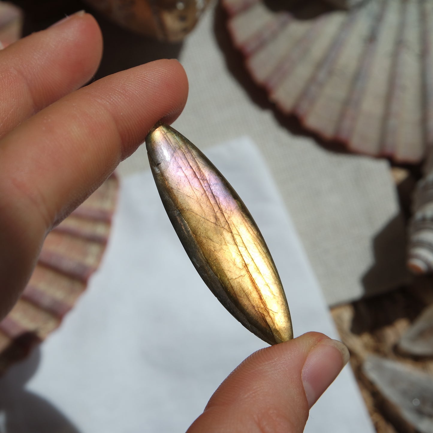 Labradorit Cabochon ~ 12ZR