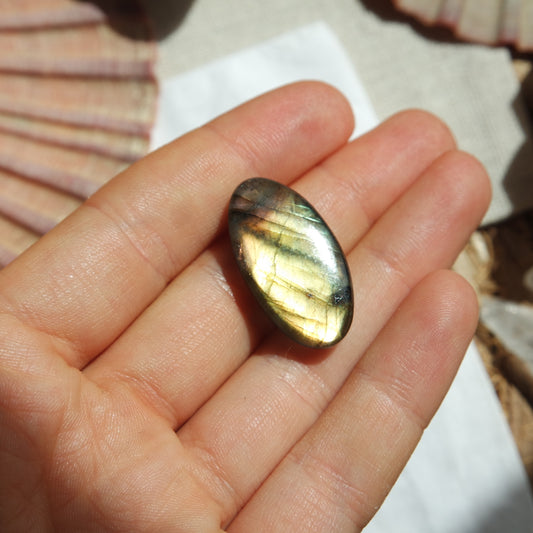 Labradorit Cabochon ~ 12ZT