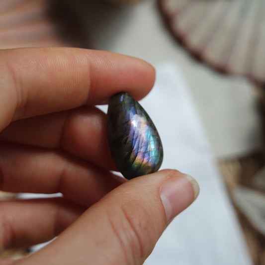 Labradorit Cabochon ~ 12ZV