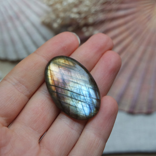 Labradorit Cabochon ~ 22XA