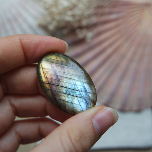 Labradorit Cabochon ~ 22XA