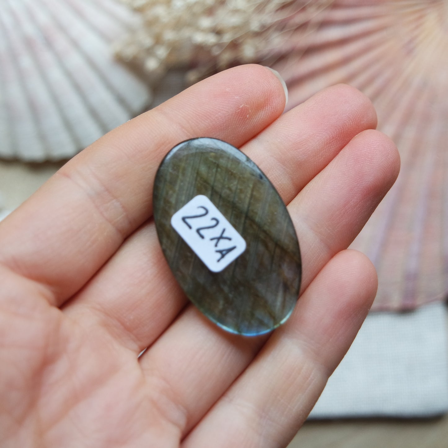 Labradorit Cabochon ~ 22XA