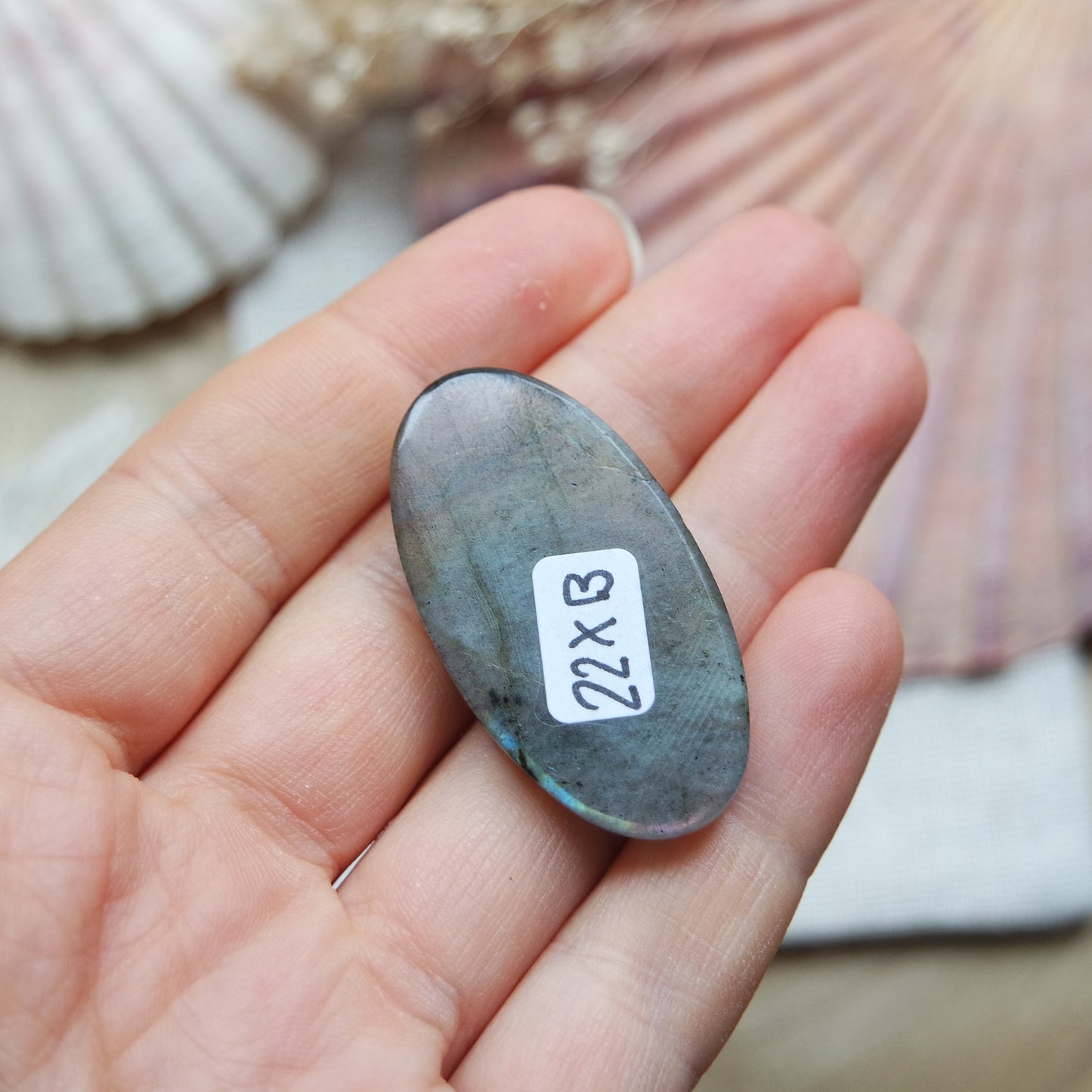 Labradorit Cabochon ~ 22XB