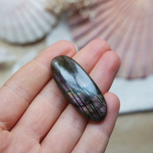 Labradorit Cabochon ~ 22XC
