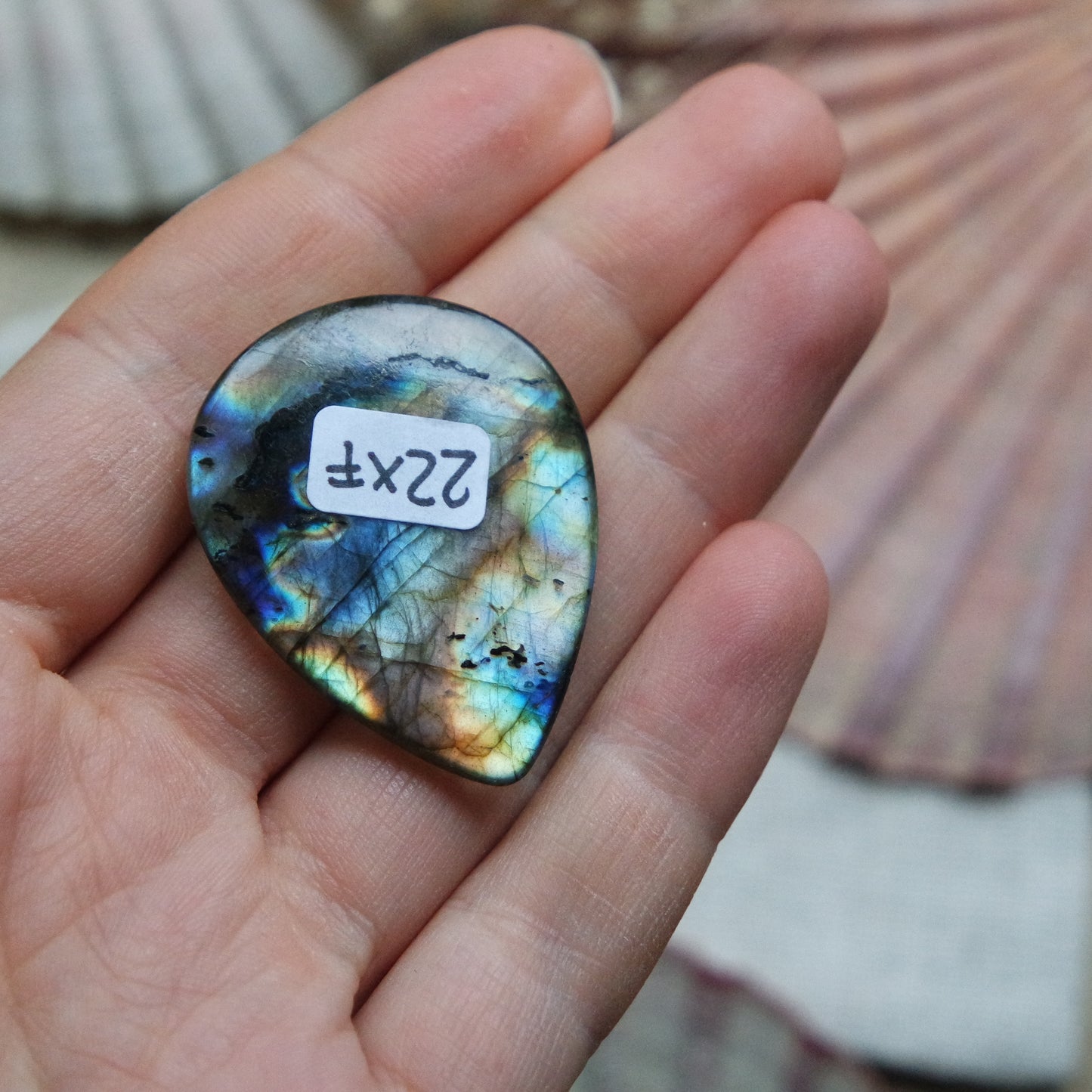 Labradorit Cabochon ~ 22XF