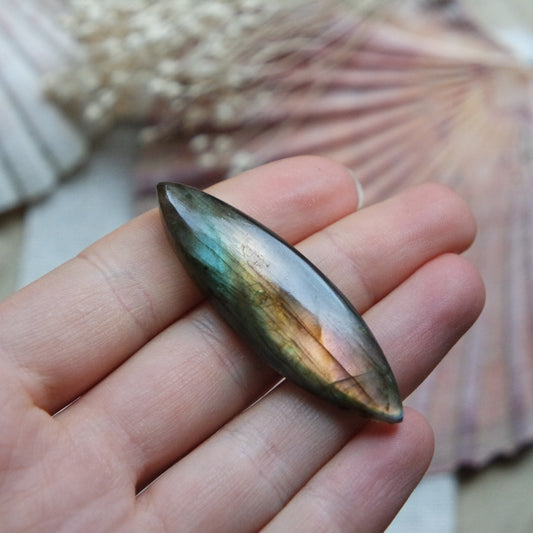 Labradorit Cabochon ~ 22XG