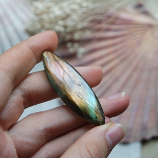 Labradorit Cabochon ~ 22XG