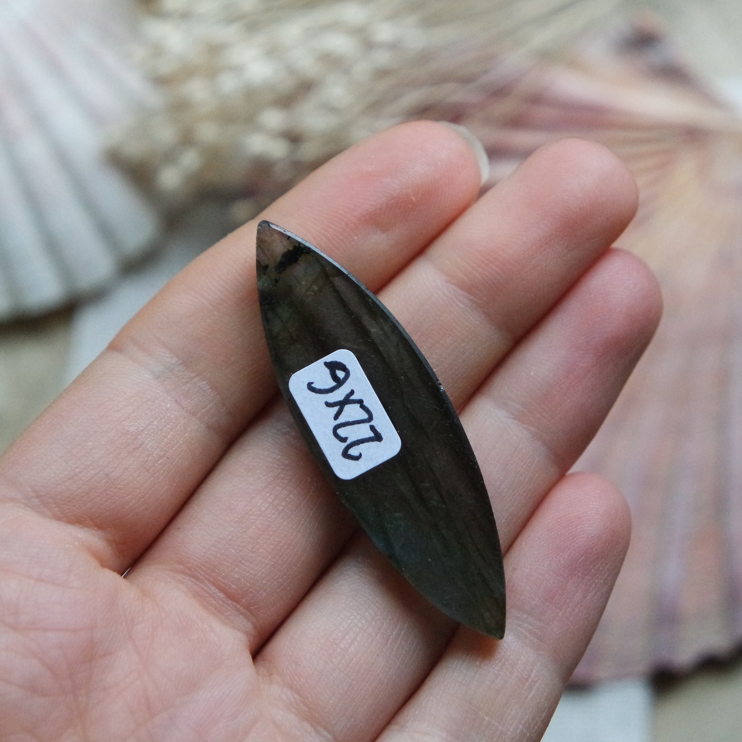 Labradorit Cabochon ~ 22XG