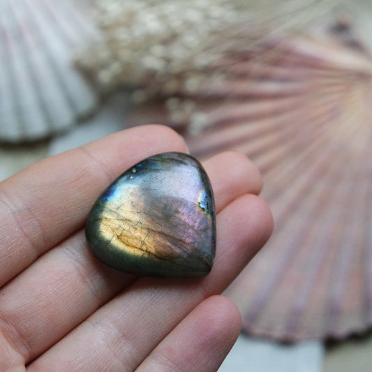 Labradorit Cabochon ~ 22Xi