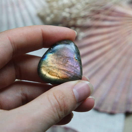 Labradorit Cabochon ~ 22Xi