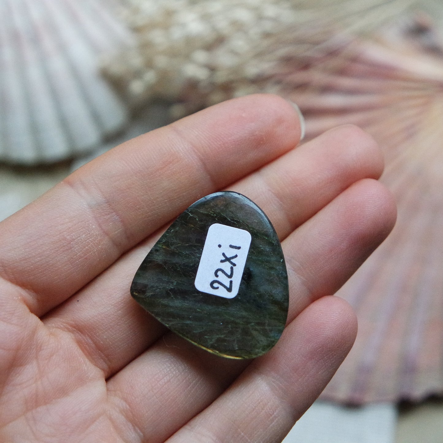 Labradorit Cabochon ~ 22Xi