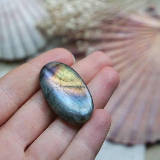 Labradorit Cabochon ~ 22Xj