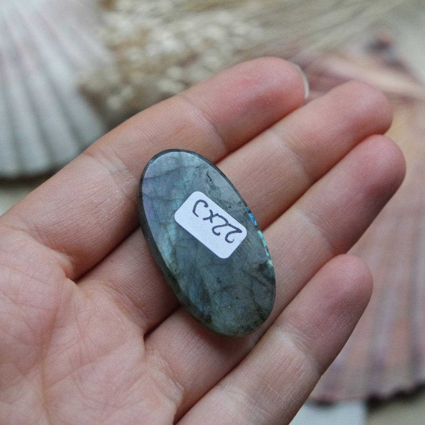 Labradorit Cabochon ~ 22Xj