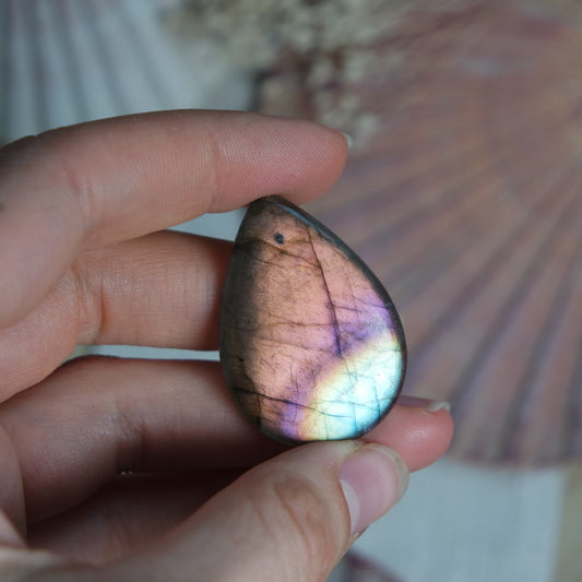 Labradorit Cabochon ~ 22XL