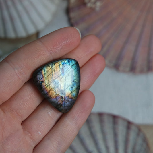 Labradorit Cabochon ~ 22XP