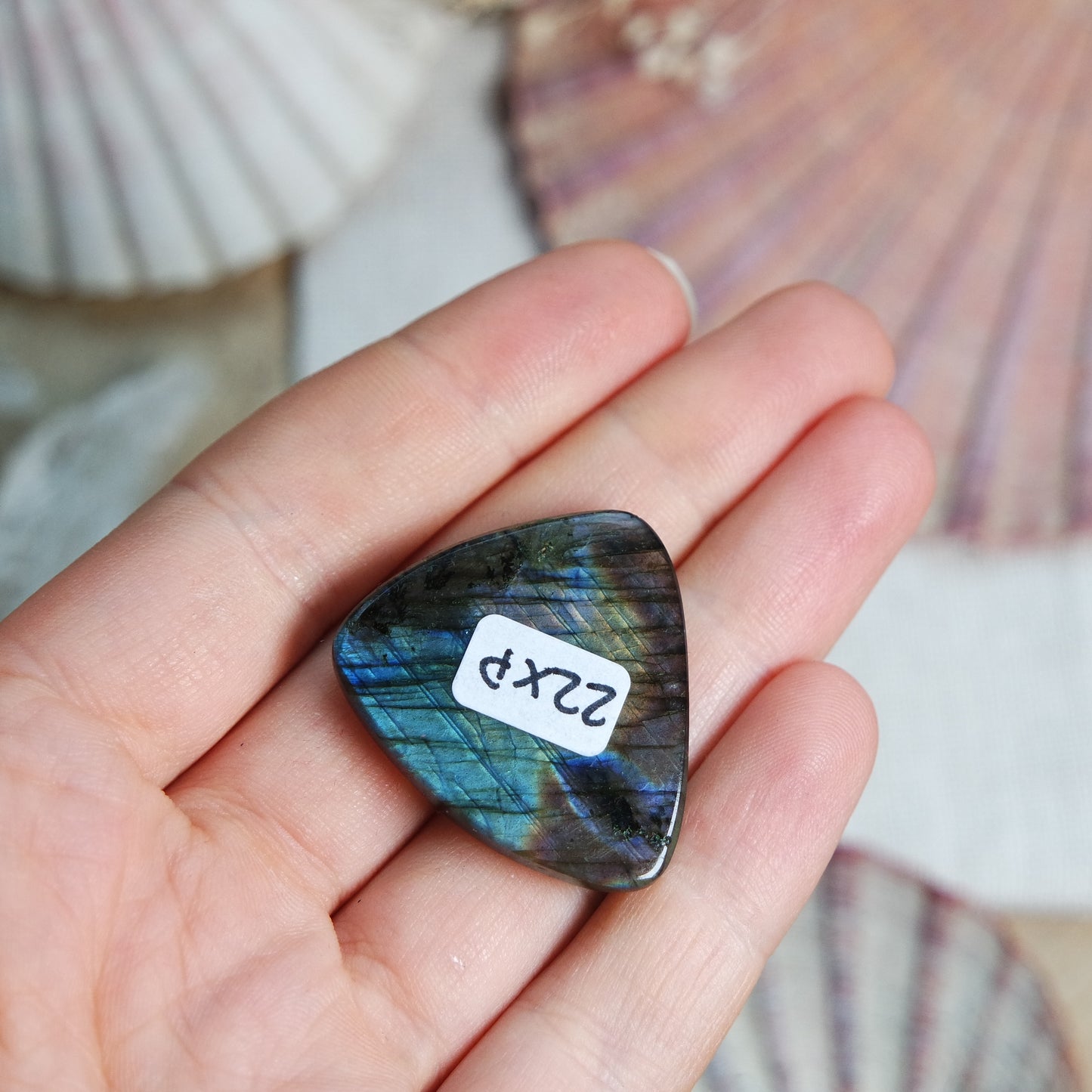Labradorit Cabochon ~ 22XP
