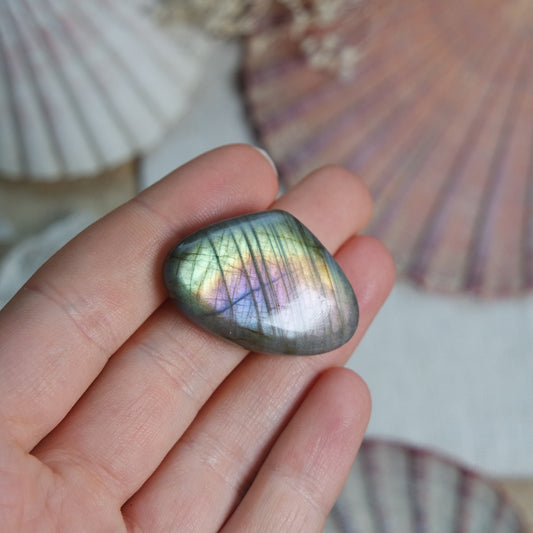 Labradorit Cabochon ~ 22XR