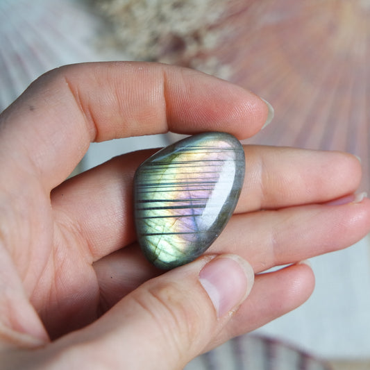 Labradorit Cabochon ~ 22XR