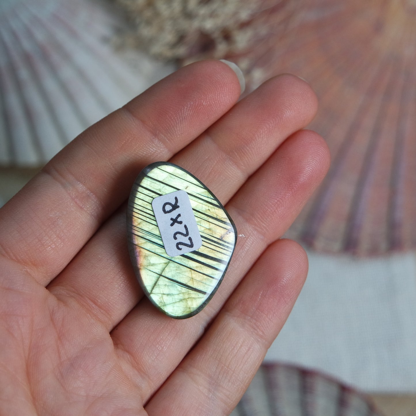 Labradorit Cabochon ~ 22XR