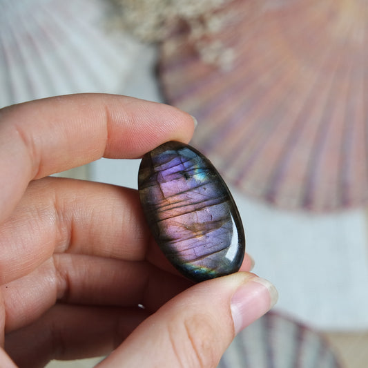 Labradorit Cabochon ~ 22XS